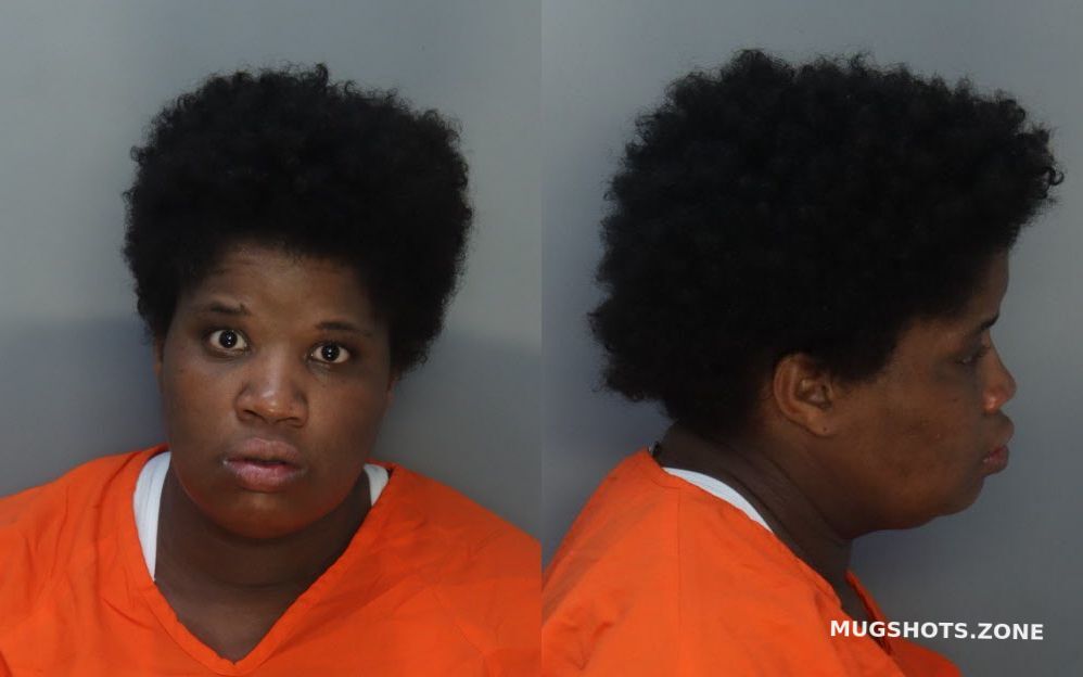 MCKINNEY ERICA DENISE 08/27/2023 - Miami-Dade County Mugshots Zone