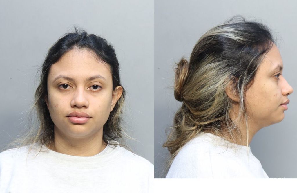 BRITOGONZALEZ DANIELLA ANDREINA 10/17/2023 - Miami-Dade County Mugshots ...