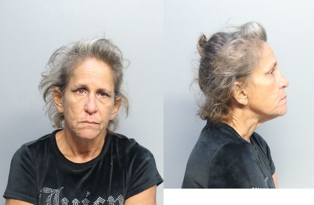 NAGY KAREN ANN 10/25/2023 - Miami-Dade County Mugshots Zone