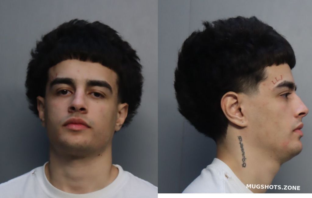 RUIZ ALEXIS JOSE 02/03/2024 - Miami-Dade County Mugshots Zone