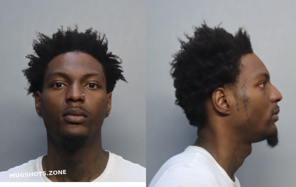 LEWIS ANDRE ANTHONY 02/10/2024 - Miami-Dade County Mugshots Zone