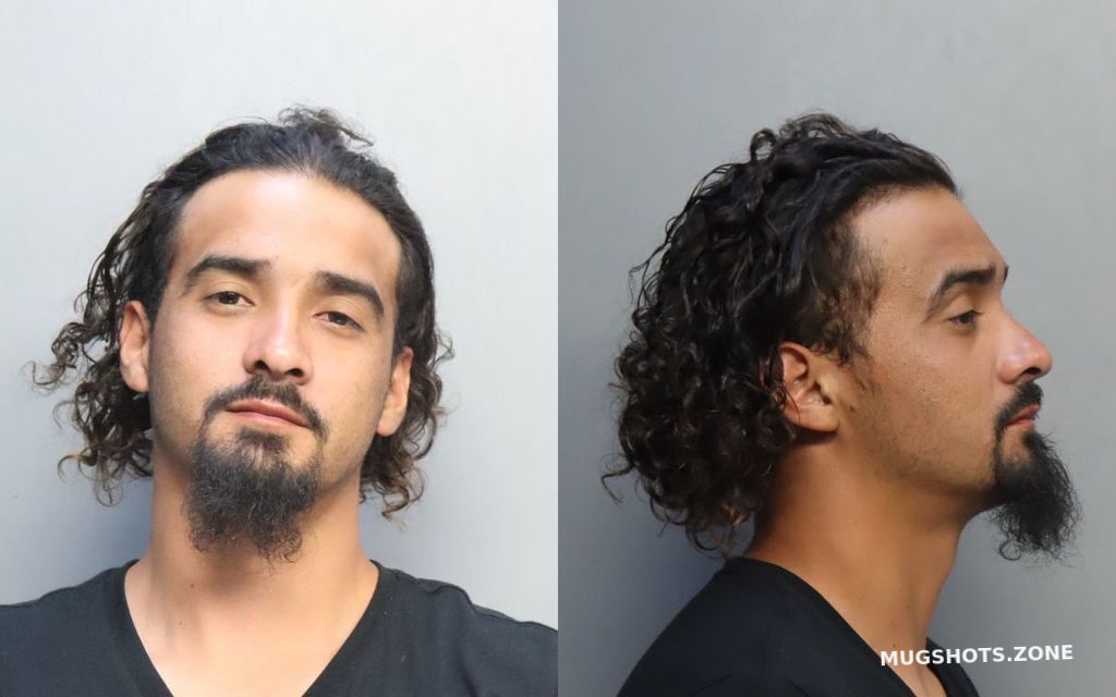 MENDEZ MARTIN 03/11/2024 - Miami-Dade County Mugshots Zone