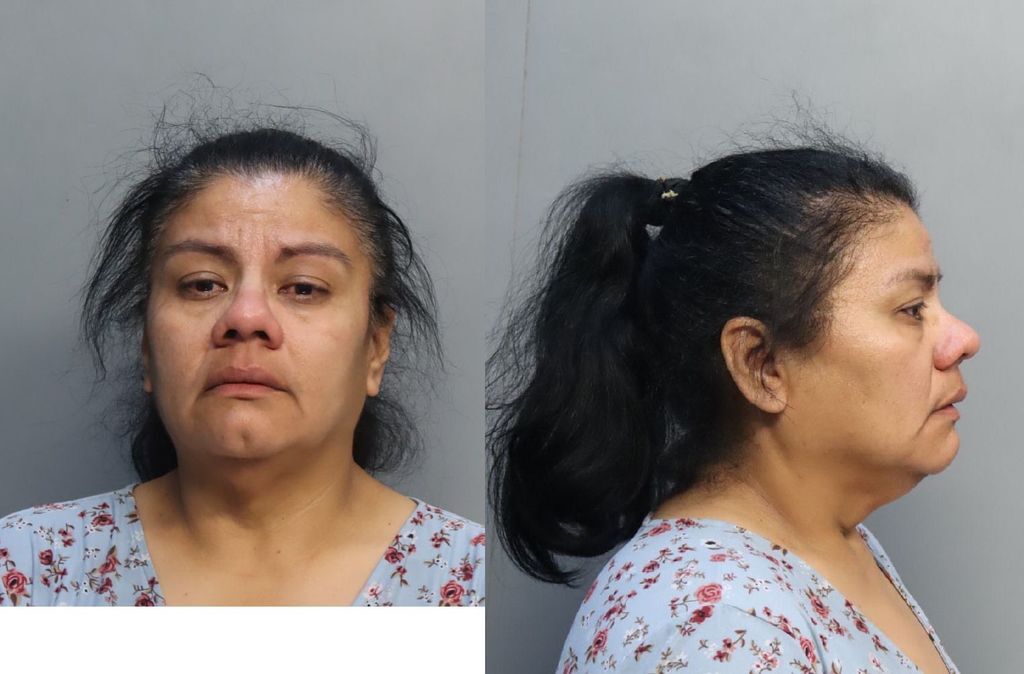 BARBERENA JAQUELINE PATRICIA 04/06/2024 - Miami-Dade County Mugshots Zone