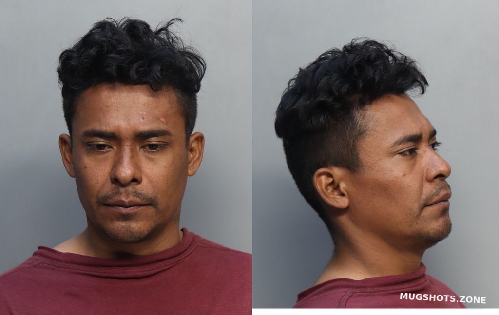 HERNANDEZ GROSVYN ALFREDO 04/17/2024 MiamiDade County Mugshots Zone
