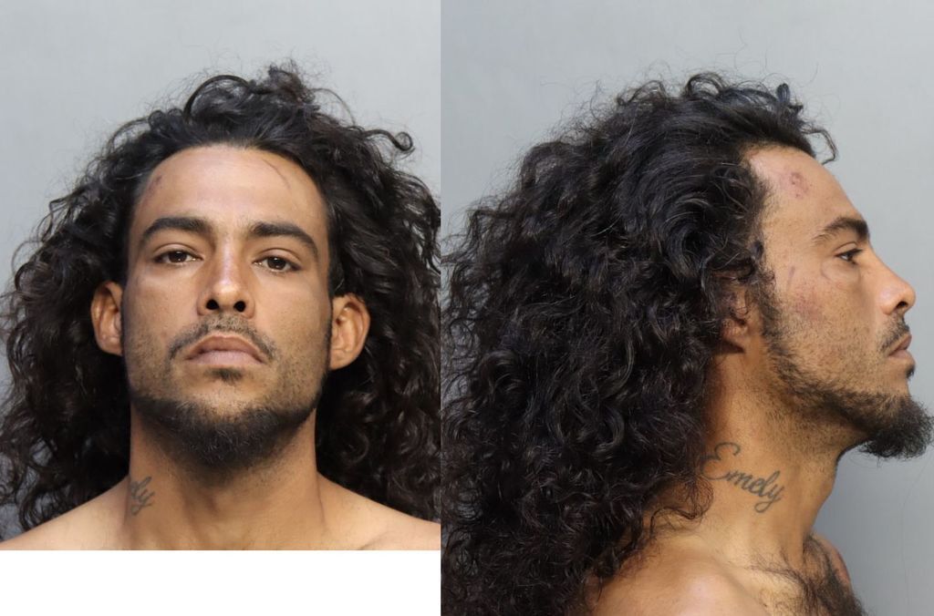 Marfil Roberto Miami Dade County Mugshots Zone