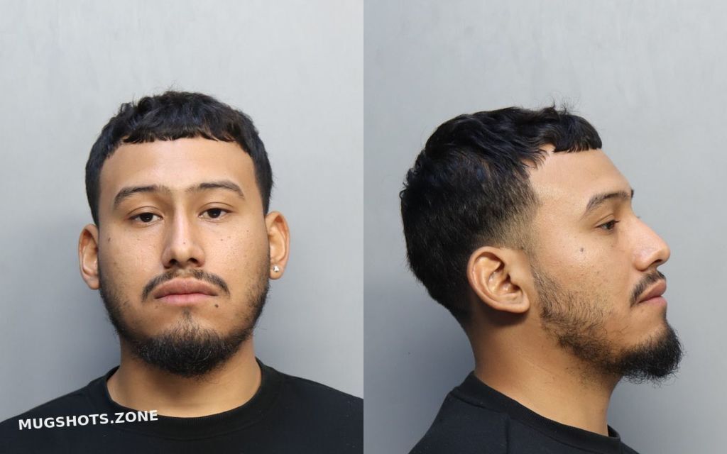 RODRIGUEZ RONY GEOVANY 04/24/2024 - Miami-Dade County Mugshots Zone