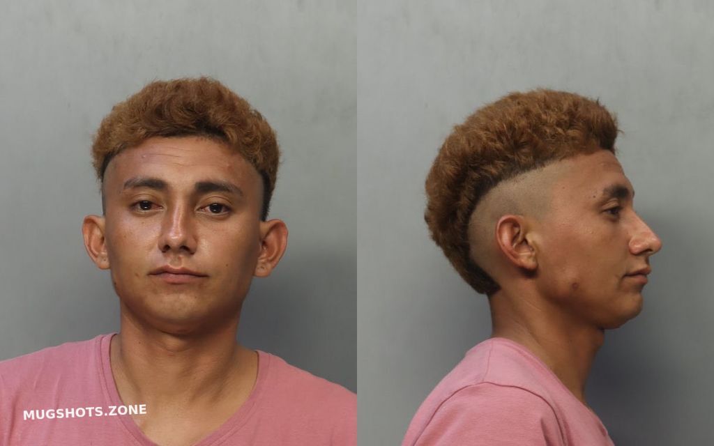 ALFARO-CRUZ CRISTIAN 05/29/2024 - Miami-Dade County Mugshots Zone