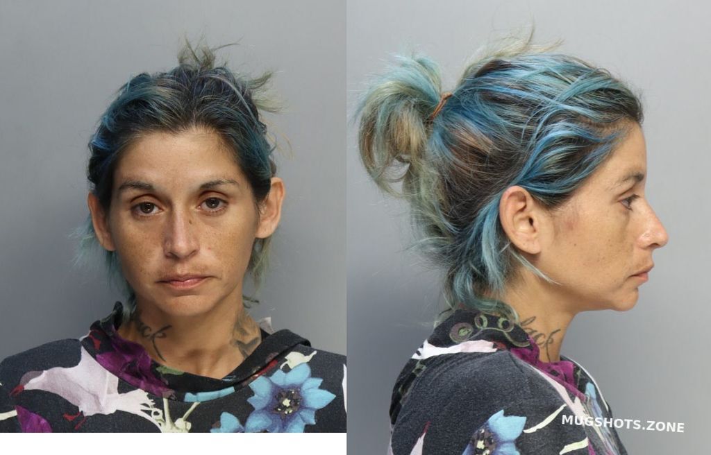 Ortega Natasha 06 06 2024 Miami Dade County Mugshots Zone