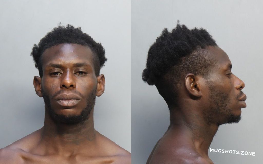 MCELROY DEMETRIS 06/13/2024 MiamiDade County Mugshots Zone