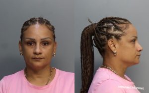 OGANDO GISELLE 06/20/2024 - Miami-Dade County Mugshots Zone