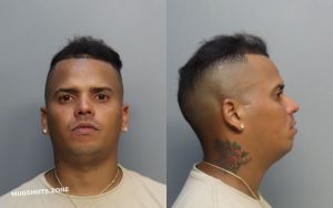 SUBIT GABRIEL ANTONIO 07/17/2024 - Miami-Dade County Mugshots Zone