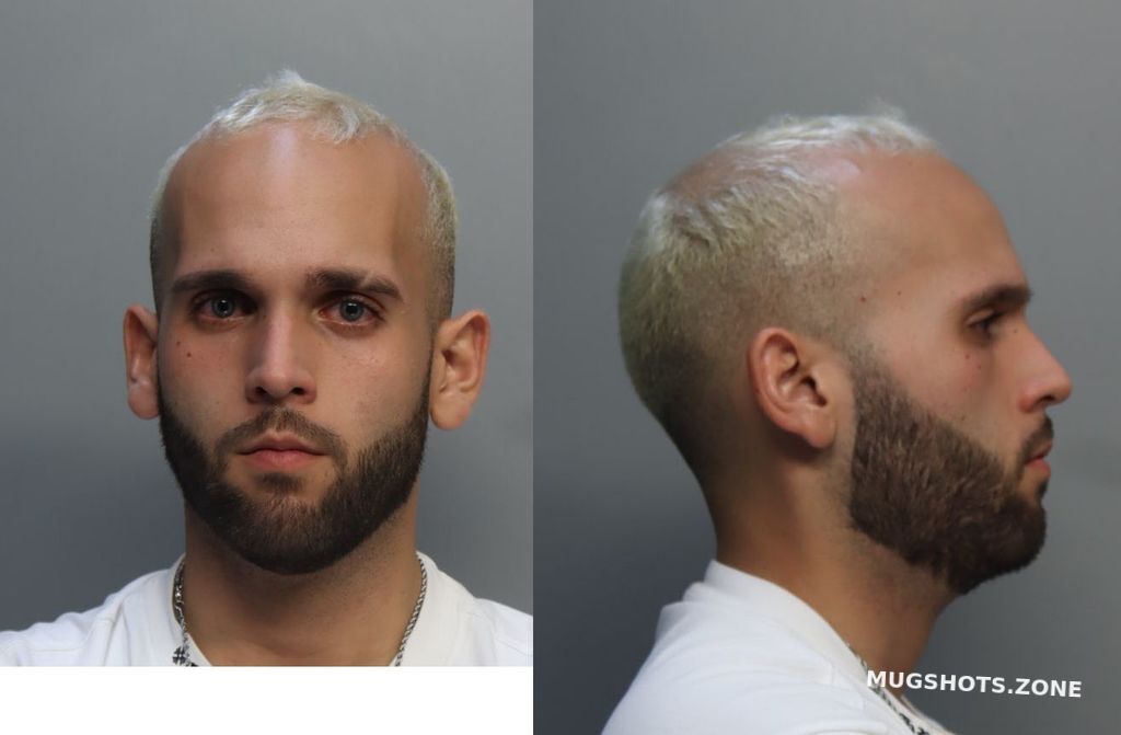 Alvarez Ariel 07262024 Miami Dade County Mugshots Zone 4478