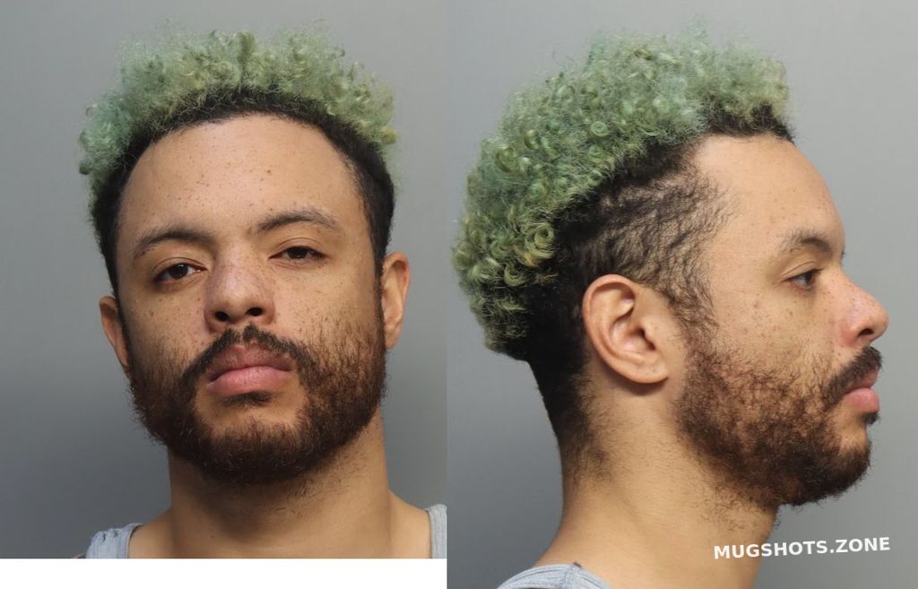 MCGILL CAMERON 10/15/2024 MiamiDade County Mugshots Zone