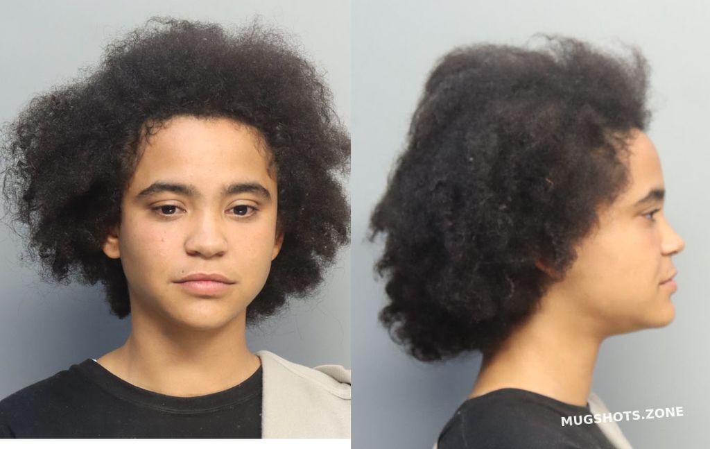 JOREAL WENDY 10/16/2024 MiamiDade County Mugshots Zone