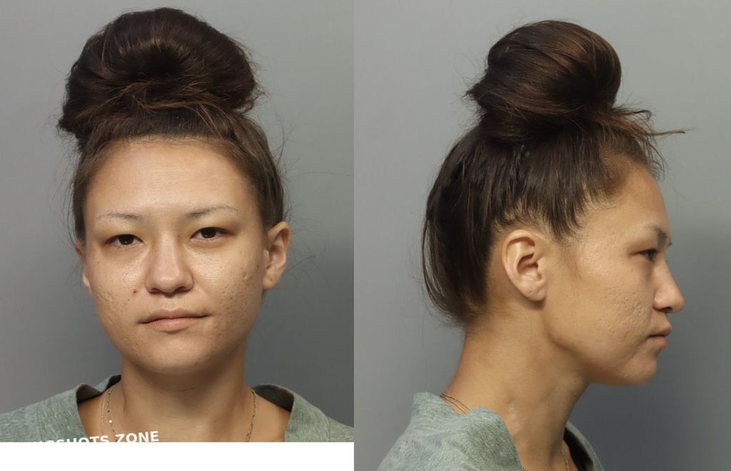 DALE NICOLE 10/16/2024 MiamiDade County Mugshots Zone
