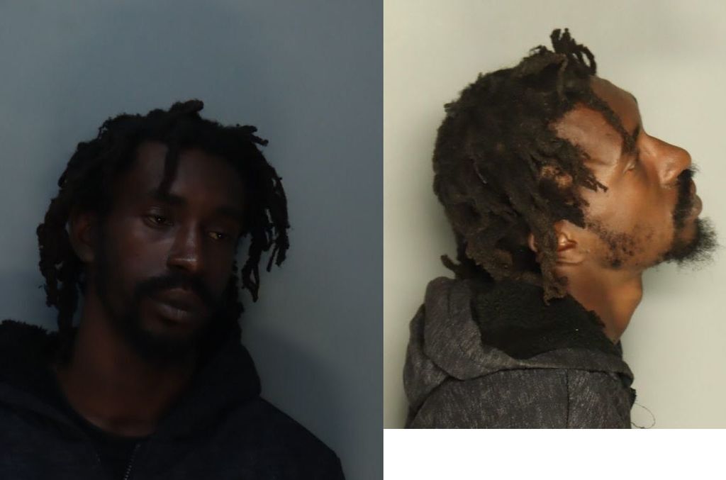 ROSE BRYANT 10/16/2024 MiamiDade County Mugshots Zone