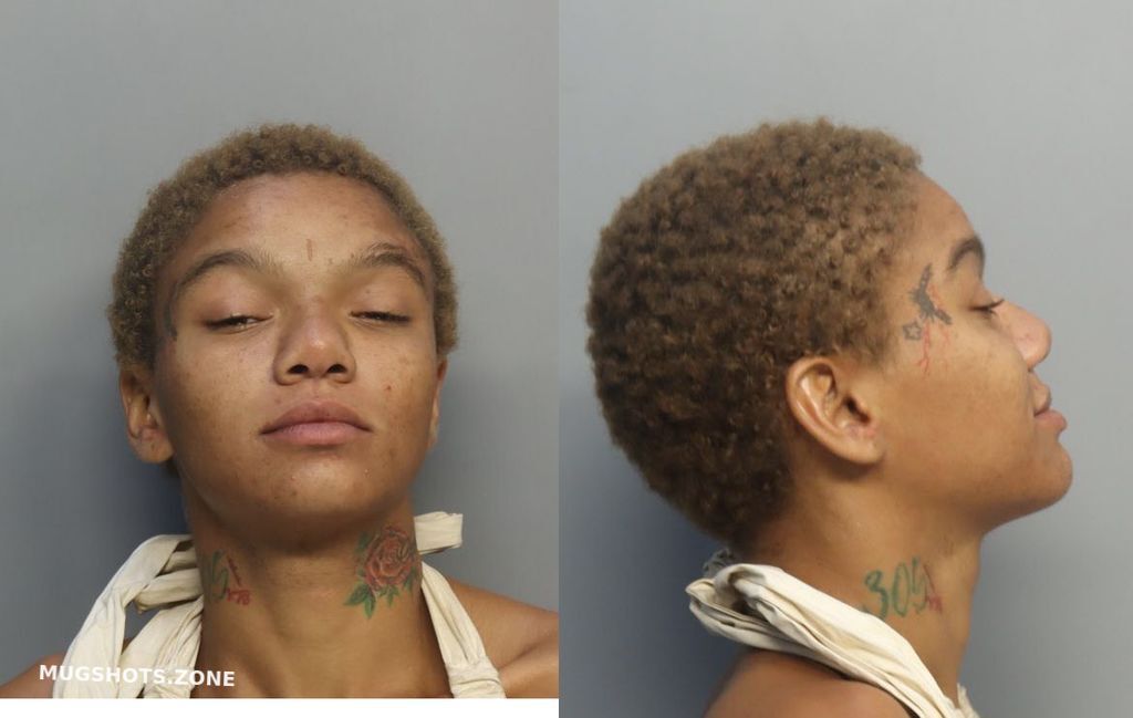 WHIPPLE ALEXIUS 10/16/2024 MiamiDade County Mugshots Zone