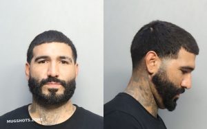 ROBAINA JORGE LUIS 12/25/2024 - Miami-Dade County Mugshots Zone
