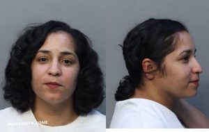 ROSA JASMINE 02/11/2025 - Miami-Dade County Mugshots Zone