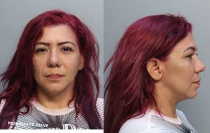 VASQUEZ JOSELIS CAROLINA 06/01/2025 - Miami-Dade County Mugshots Zone