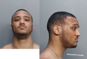 RAMETTA DAMIEN 06/26/2025 - Miami-Dade County Mugshots Zone