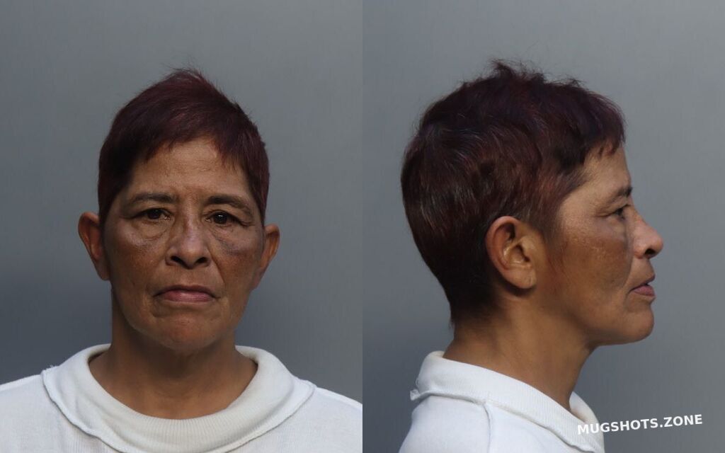 CASTRO THERESA 03/08/2026 - Miami-Dade County Mugshots Zone