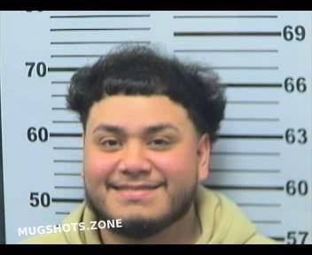 DONDE-ACCUDIA DYLAN SAMUEL 02/28/2023 - Mobile County Mugshots Zone