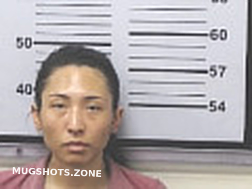 NGUYEN JAMIE LINDA 06/26/2024 - Mobile County Mugshots Zone