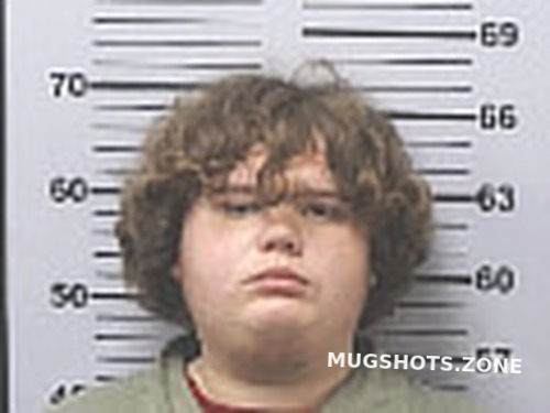 BROOKS HAYDEN ALEXANDER 07/08/2024 - Mobile County Mugshots Zone