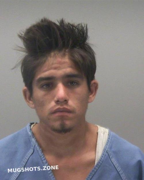 HERNANDEZ GABRIEL 08/22/2022 - Montgomery County Mugshots Zone