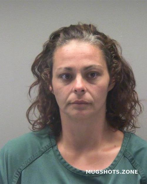 SLONE BRANDY NICHOLE 06/28/2023 Montgomery County Mugshots Zone