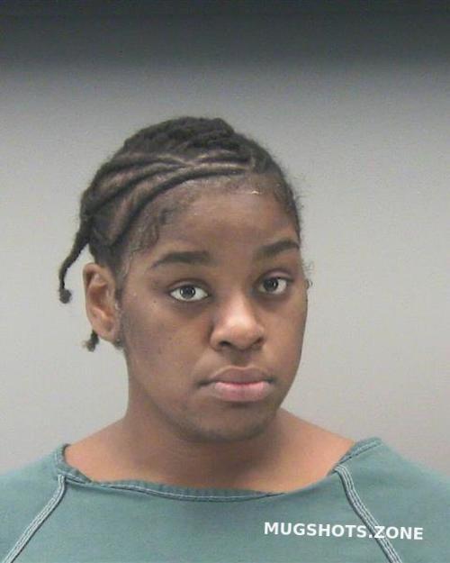 HAYES TEMPERANCE AMANDA R ERICA 01/08/2024 Montgomery County Mugshots