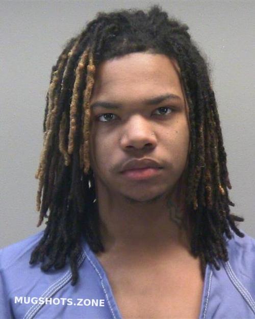 RAGLIN JR ERIC CHARLES NATHANIEL 01/16/2025 - Montgomery County ...