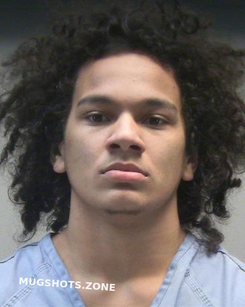 Mugshots.zone Ohio CANNON ALLEN 02/11/2025 - Montgomery County Mugshots Zone