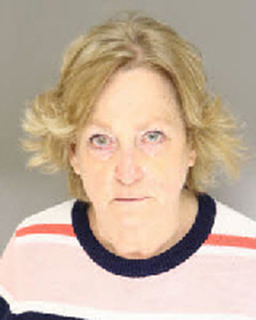THOMPSON SANDRA NEWMAN 03/03/2021 Moore County Mugshots Zone