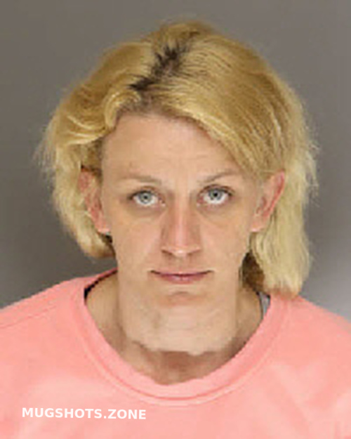 Johnson Tiffany Christine Moore County Mugshots Zone My XXX Hot Girl