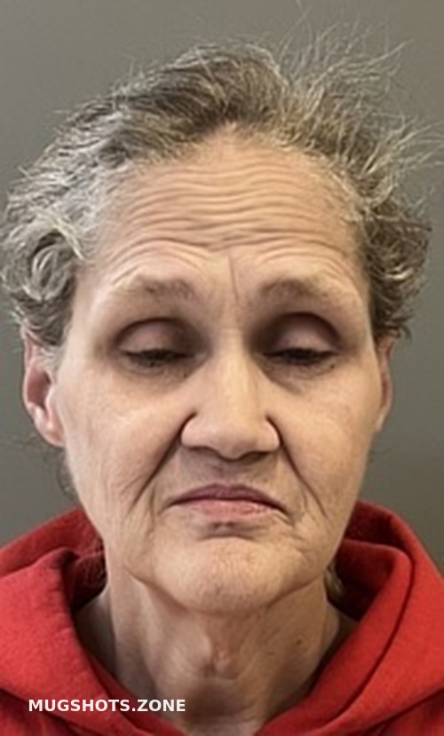 LISA CAROL SAPP BRISCOE 02/20/2023 County Mugshots Zone