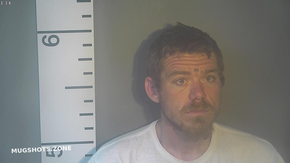 LYONS EVAN JAMES 03/17/2023 Nelson County Mugshots Zone