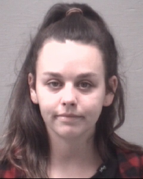 LEWIS ALEXIS KAY 12/22/2020 - New Hanover County Mugshots Zone