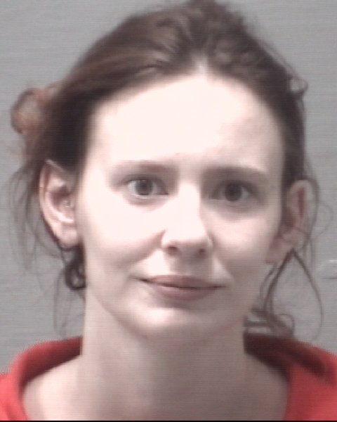 Owens Nicole Marie 12282020 New Hanover County Mugshots Zone 4722