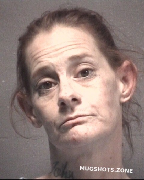 Collins Mandi Ann 09 12 2021 New Hanover County Mugshots Zone