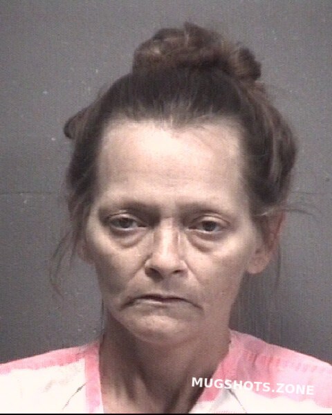 MULLINS LISA MICHELLE 02/14/2022 - New Hanover County Mugshots Zone