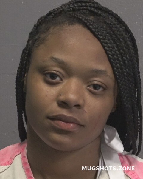 FRINK ALEXIA ZHNAE 04/16/2022 - New Hanover County Mugshots Zone