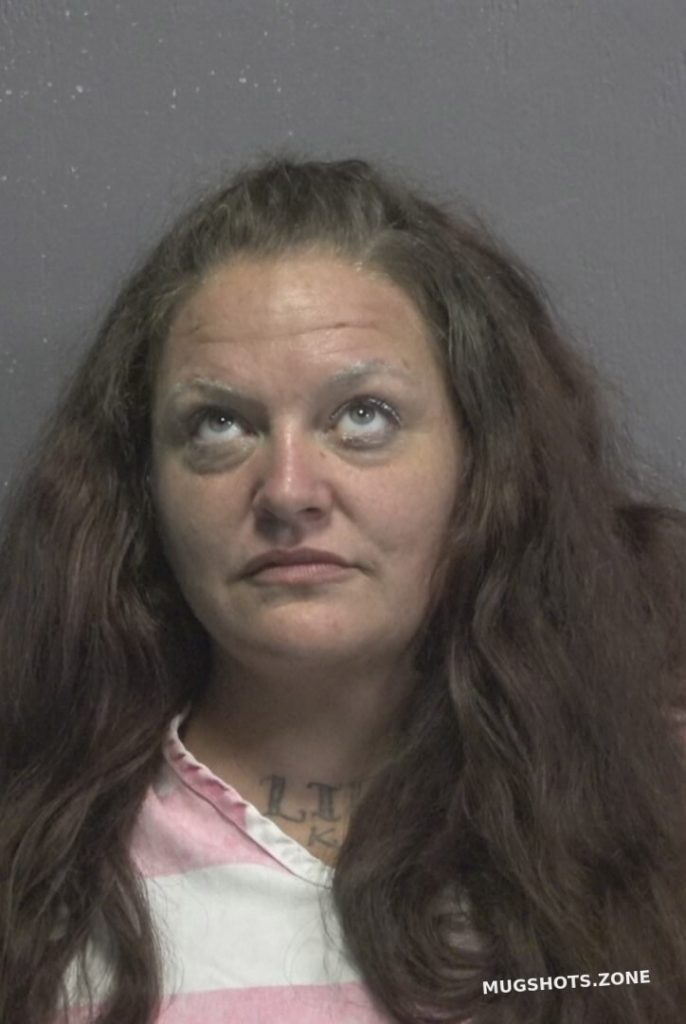 Ferguson Tina Marie New Hanover County Mugshots Zone