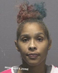 CABALLERO LAUREN SUZANNE 10/07/2023 - New Hanover County Mugshots Zone