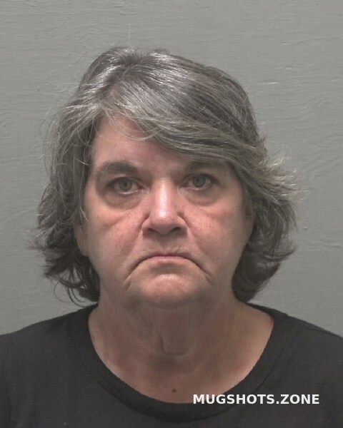 HOLYFIELD CYNTHIA HIATT 04/17/2024 - New Hanover County Mugshots Zone