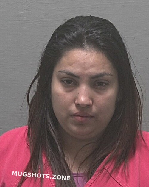 REYES CAROLINA 09/21/2025 - New Hanover County Mugshots Zone