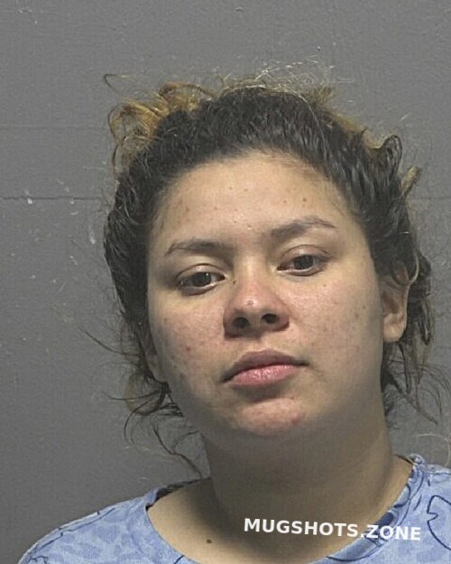 RAMIREZ JULIA NICOLE 10/10/2025 New Hanover County Mugshots Zone