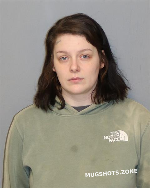 Karres Allison Renee 11282023 New River Valley Regional Jail Mugshots Zone 7187