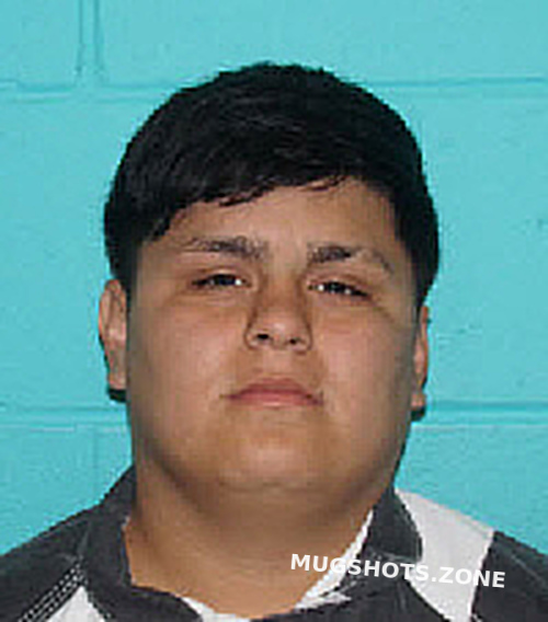 Kevin rosendo enriquez 02 01 2024 nolan county mugshots zone